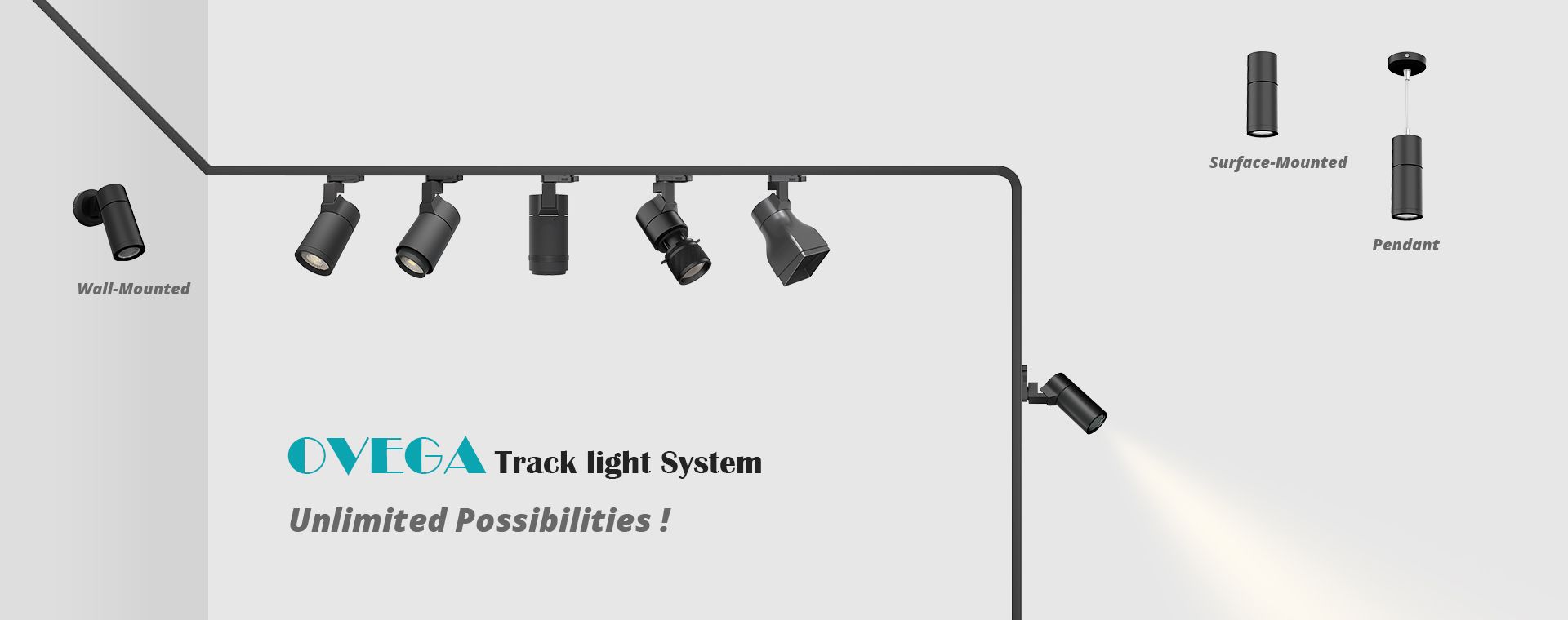 Track Light